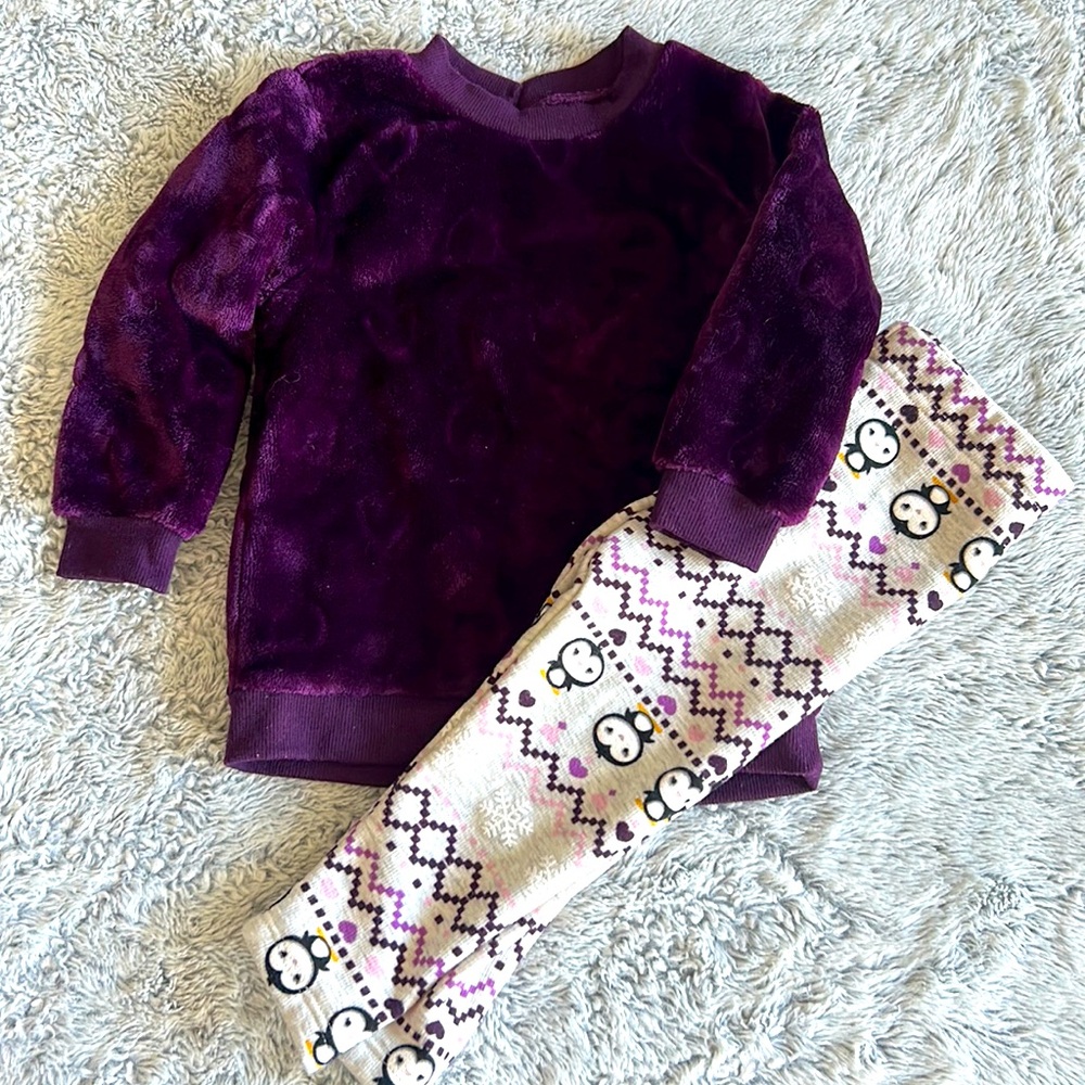 12-18M fleece sweater and lined pants